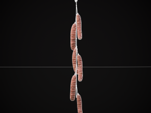 Hanging Chicken Sausage 3D Model