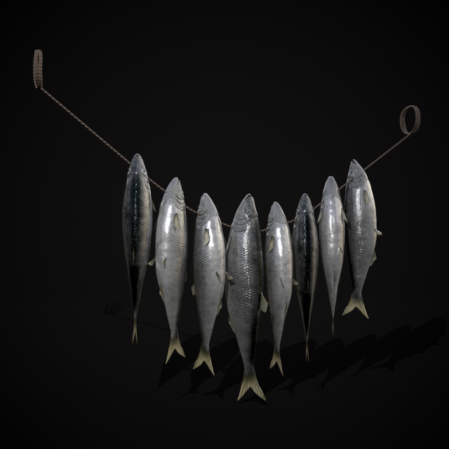 Hanging Herring Fish 3D Model .c4d .max .obj .3ds .fbx .stl .blend 