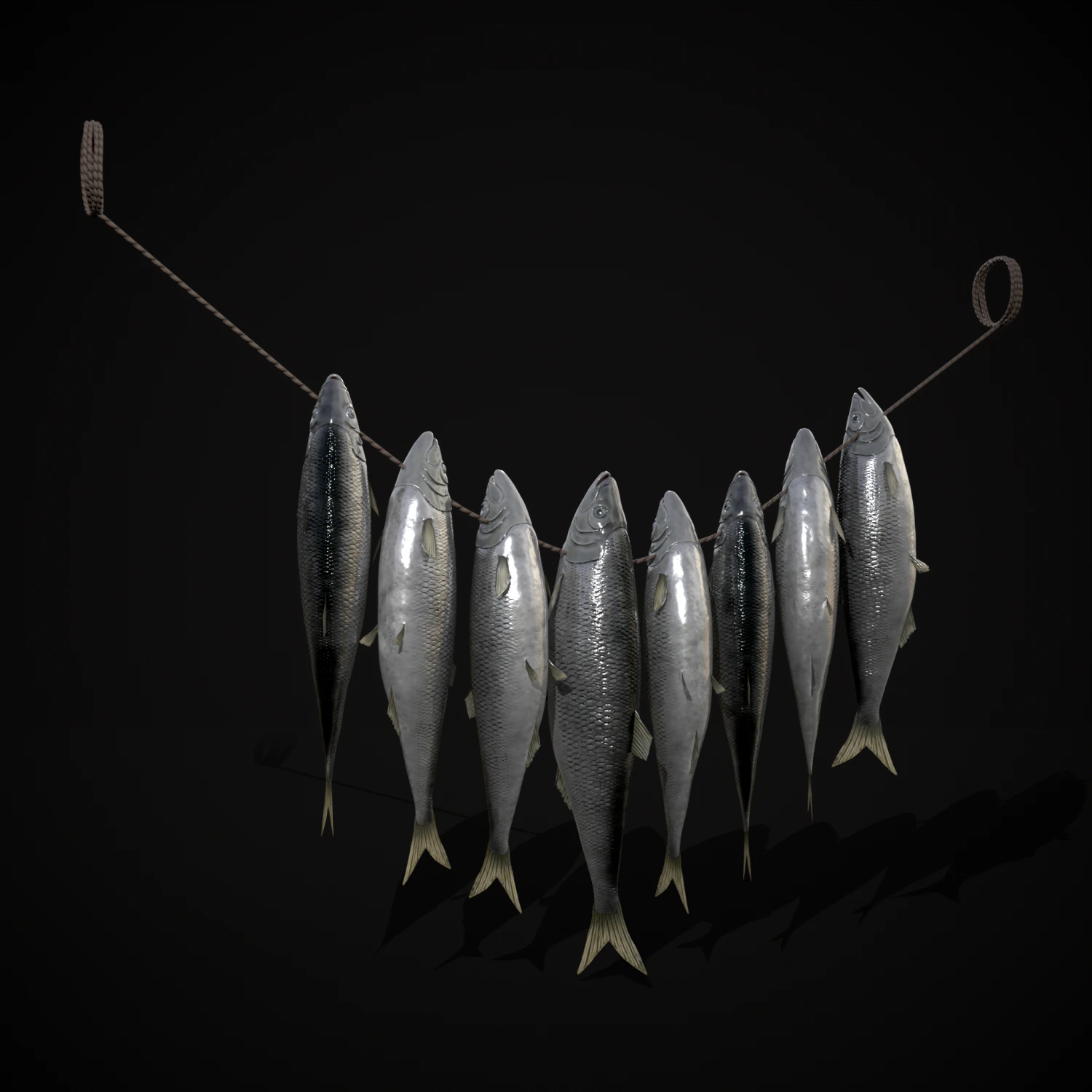 Hanging Herring Fish 3D Model .c4d .max .obj .3ds .fbx .stl .blend