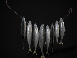 Hanging Herring Fish 3D मॉडल