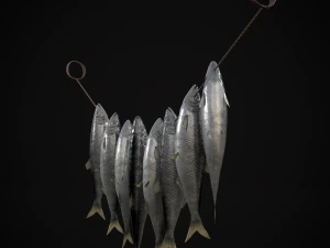 Hanging Herring Fish 3D Model