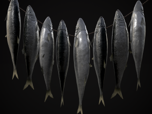 Hanging Herring Fish 3D Model