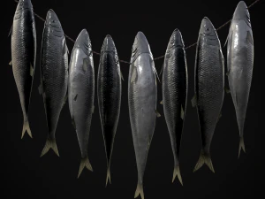 Hanging Herring Fish 3D Model