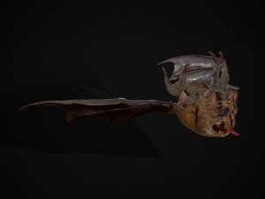 Pumpkin with Wings 3D Модель