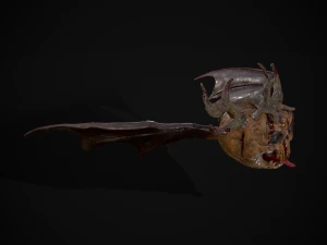 Pumpkin with Wings 3D Model