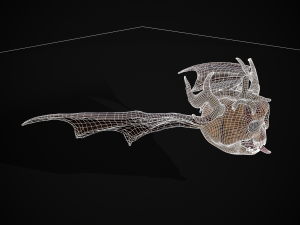 Pumpkin with Wings 3D Модель