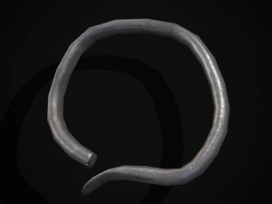 Tesouro de Prata Viking Modelo 3D