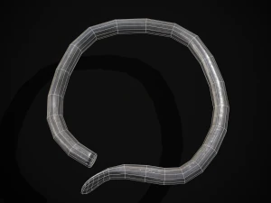 Tesouro de Prata Viking Modelo 3D