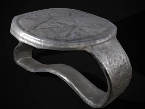 Tesouro de Prata Viking Modelo 3D