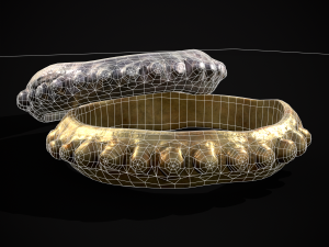 Beaded Roman Ring Modèle 3D