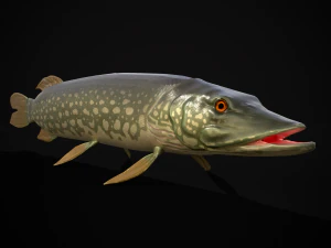 Northern Spotted Pike 3D Model