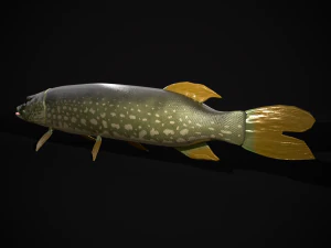 Northern Spotted Pike 3D Model