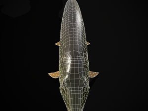 Northern Spotted Pike 3D Модель