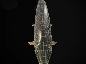 Northern Spotted Pike 3D Model