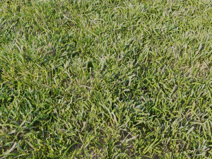 ハイディテールグラスVray 3Dモデル