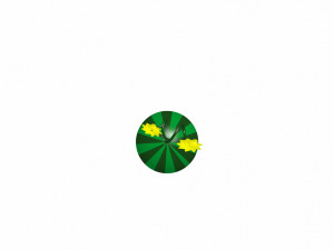 watermelon 3Dモデル