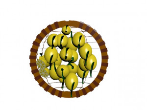 lemon Modello 3D