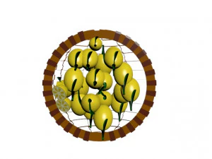 lemon 3D Model