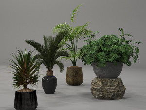 plants collection 01 3Dモデル