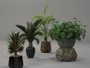plants collection 01 3D Model