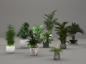 plants collection 01 3Dモデル