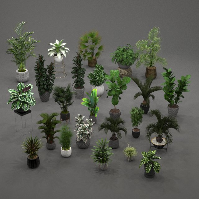 plants collection 01 3Dモデル .c4d .max .obj .3ds .fbx .stl .blend 