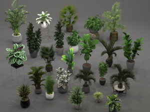 plants collection 01 3D Модель