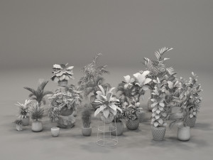 plants collection 01 3Dモデル