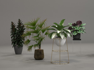 plants collection 01 3Dモデル