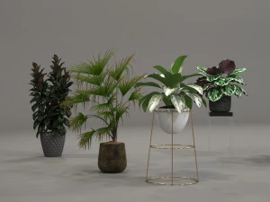 plants collection 01 3D Model