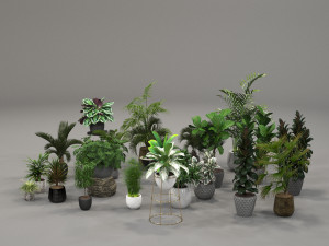 plants collection 01 3Dモデル