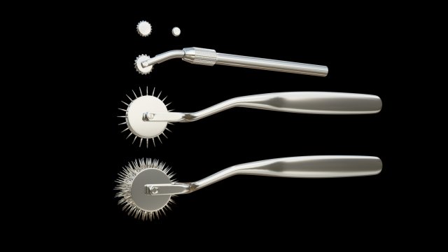 lowpoly wartenberg wheel 3D 모델 .c4d .max .obj .3ds .fbx .stl .blend 
