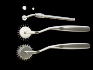 低聚瓦滕伯格轮 3D 模型