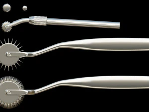 lowpoly wartenberg wheel 3D Model