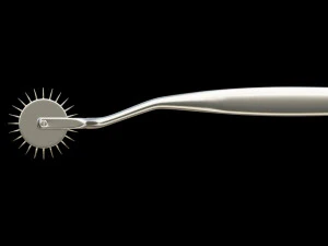 lowpoly wartenberg wheel 3D Model