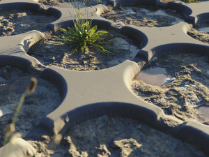 after rain mud ground CG 纹理