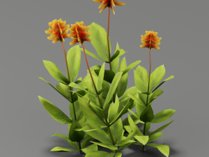 flower g01 Modelo 3D