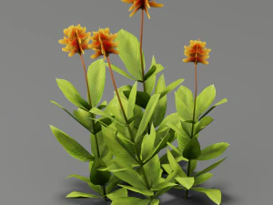 fleur g01 Modèle 3D