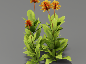 flower g01 Modelo 3D