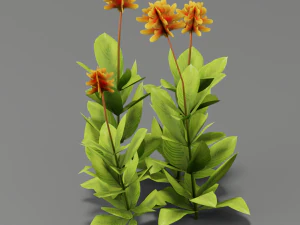 fleur g01 Modèle 3D