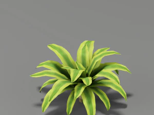 fleur g01 Modèle 3D