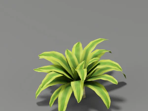 fleur g01 Modèle 3D