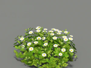 fleur g01 Modèle 3D