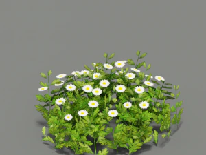 fleur g01 Modèle 3D