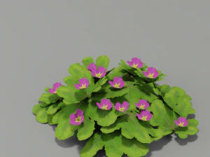 fleur g01 Modèle 3D