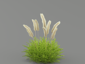 flower g02 3D 模型