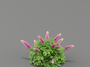 flower g02 3D 模型