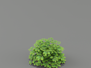 flower g02 3D 模型
