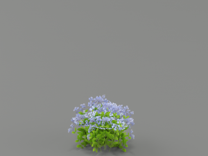 flower g02 3D 模型