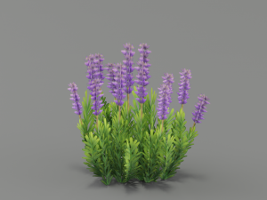 flower g02 3D 模型